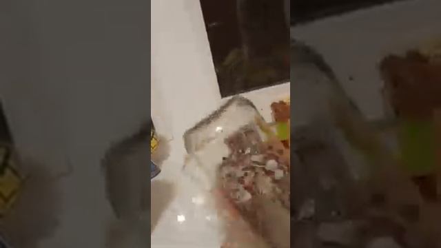 Фонарик из банки и гирлянды👌 смотреть онлайн