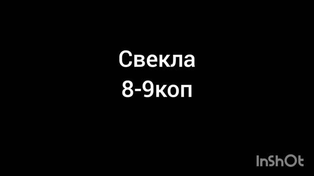 Цены на продукты и автомобили и подпишись на @droyset8776 смотреть онлайн