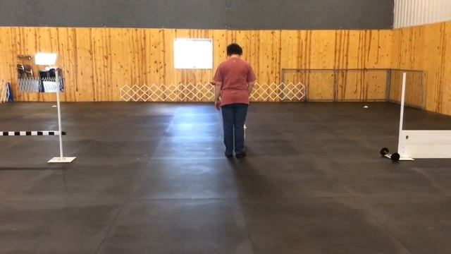 zip directed retrieve 5-1-16 смотреть онлайн