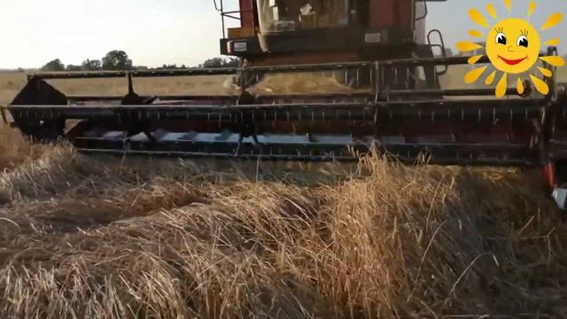 Развивающий видеоролик "Путешествие зёрнышка" смотреть онлайн