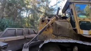 Бульдозер прокладывает дорогу среди густых  деревьев.