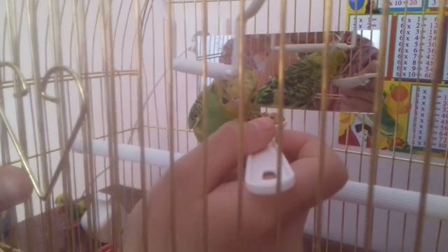 Как маленький ребёнок ест из лошки смотреть онлайн