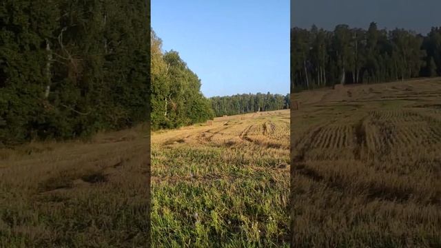 Применяю инструменты курса 