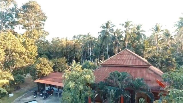 Бетта Хаус Ко Панган Лена танцы смотреть онлайн