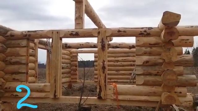 Сруб канадская чашка, сухой лес - Часть 2 смотреть онлайн