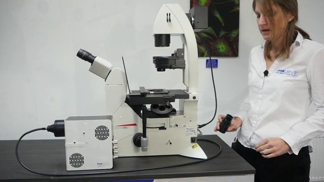 Fitting the pE-400 Series to a Leica DMi8 смотреть онлайн