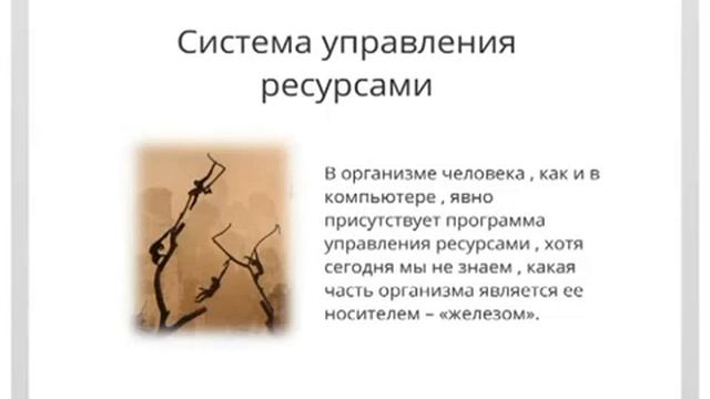 ОРГАНИЗМ ЧЕЛОВЕКА С ТОЧКИ ЗРЕНИЯ КИТАЙСКОЙ МЕДИЦИНЫ смотреть онлайн