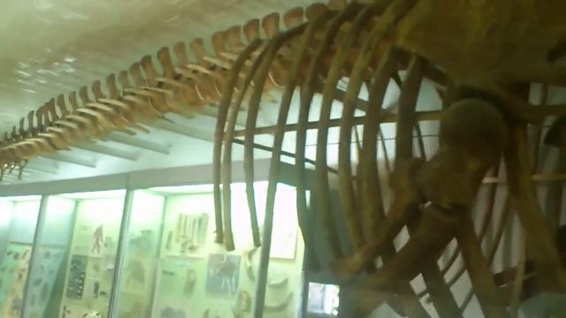 лиза институт археологии смотреть онлайн