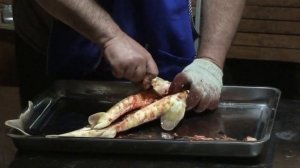 Осетрина. Потрошение осетра. Как разделать осетра