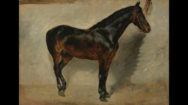 Virginia Museum of Fine Arts смотреть онлайн