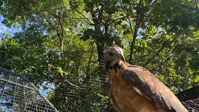 Экскурсия по Приморскому сафари-парку часть 3.