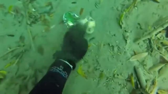 Лучшие находки под водой с металлоискателем 🌊💸