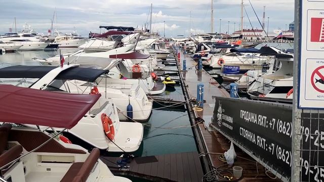 Бомжи из Сочи и Французские эмигранты. Один день в городе.