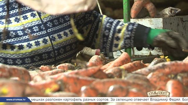 Сельсовет. Подготовка к сезону смотреть онлайн