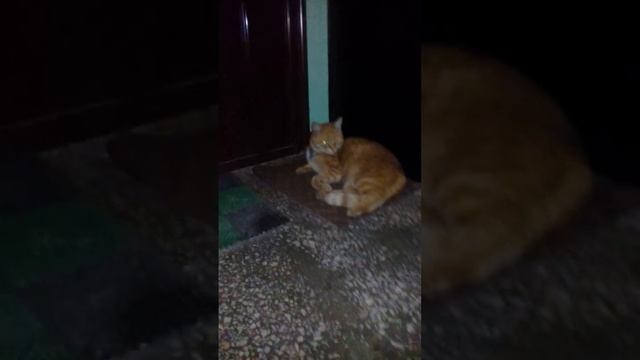 Эй, кто за дверью, выходи в сортир по одному.. смотреть онлайн