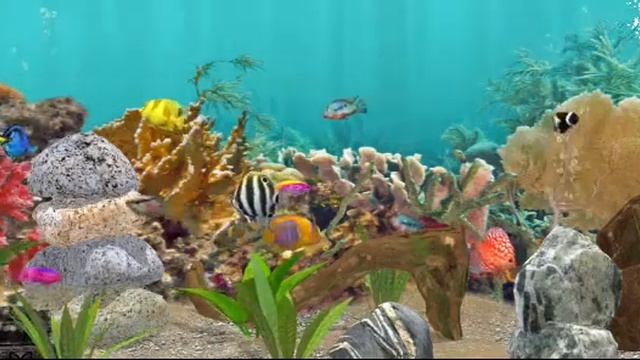 Fish farm aquarium fish смотреть онлайн