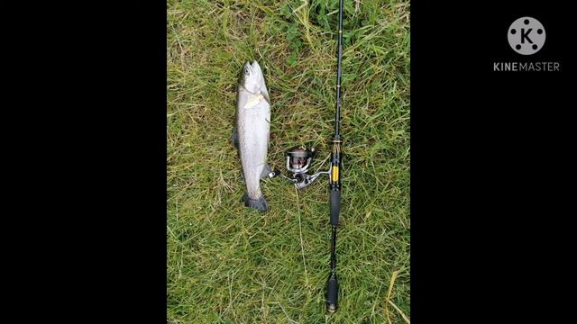 Fishing 2020 смотреть онлайн