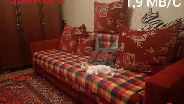 Как ловит мой интернет??