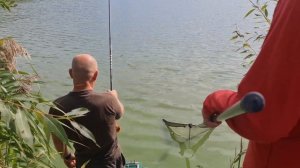 Вываживание карпа 5,6кг на болонскую удочку