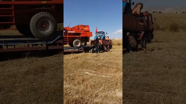 Доставка гримм смотреть онлайн