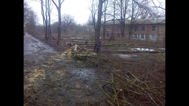 Парк Штиглица   20180104. Ивангород