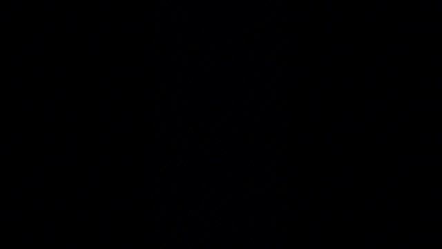 Коллекция Амазон