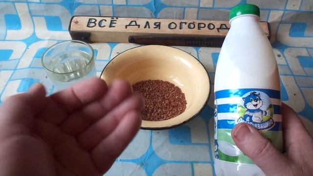 КАК БЫСТРО ПОХУДЕТЬ на 15 кг И НЕ НАБРАТЬ ВЕС ОБРАТНО за 10 дней! How to LOSE 10kg in 7 DAYS !! смотреть онлайн