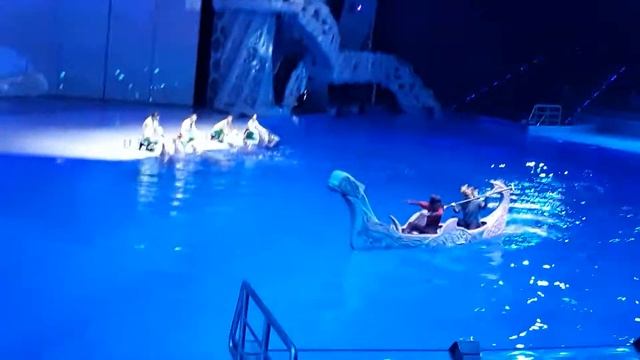 ВДНХ .Московский океанариум . мюзикл - Сон в летнюю ночь ... смотреть онлайн