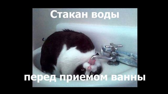 Как правильно пить воду смотреть онлайн