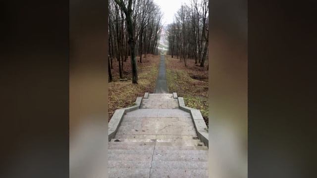 Пулковская обсерватория смотреть онлайн