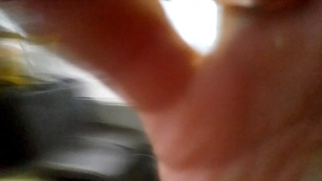 Поющий автобус. Или почему нам нравится петь смотреть онлайн