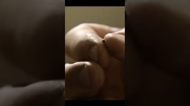 Притча Иисуса Христа: Притча о зерне горчичном/«Царство Небесное подобно зерну горчичному»/Библия смотреть онлайн