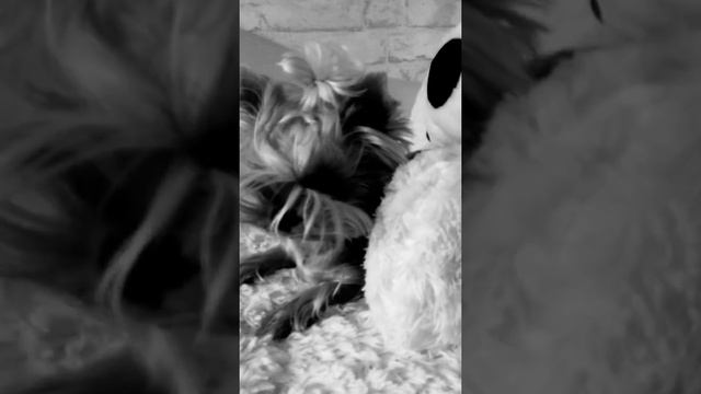 Крутой   макс