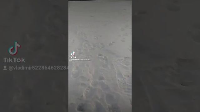 ловля окуня смотреть онлайн