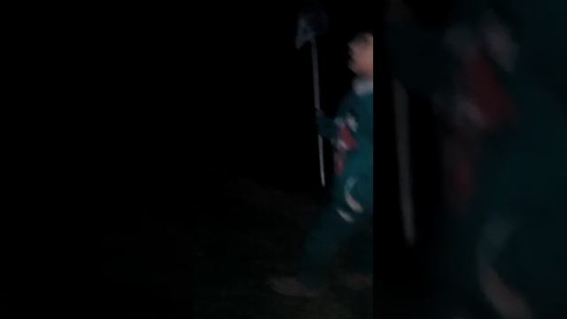 Ловим майских жуков. Наши ночные прогулки смотреть онлайн