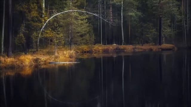 Музыкальный календарь. Январь смотреть онлайн