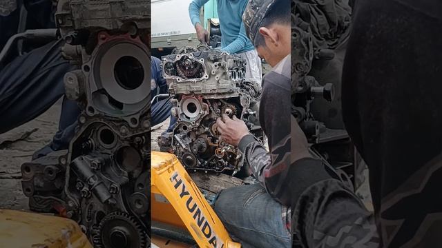 ISUZU 4JJ1 OVERHAULING.#video #isuzu #engine #overhauling