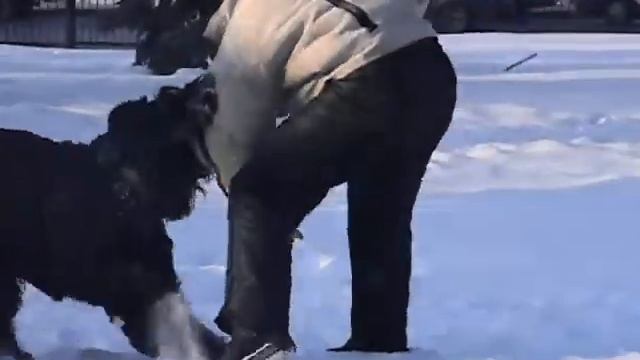 малаховский желанный друг смотреть онлайн