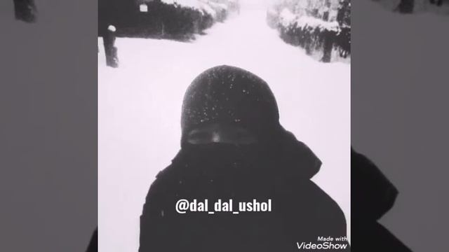 Черный дельфин смотреть онлайн