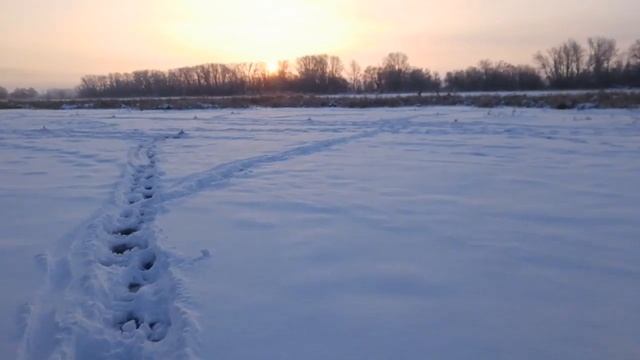 Есть первый трофей сезона смотреть онлайн