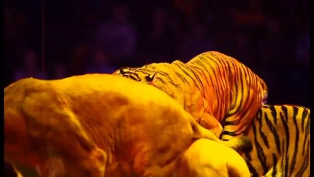 Отрывок выступления Братьев Запашных с хищниками из Шоу «Легенда» / 2012 год смотреть онлайн