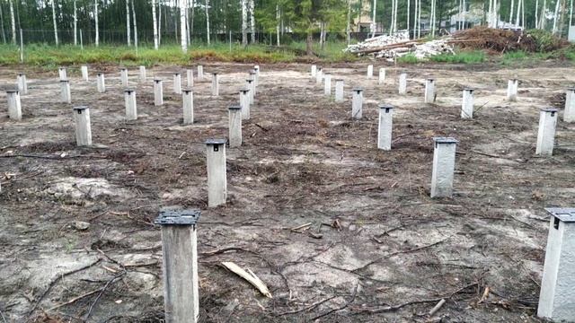 Петушок участок смотреть онлайн