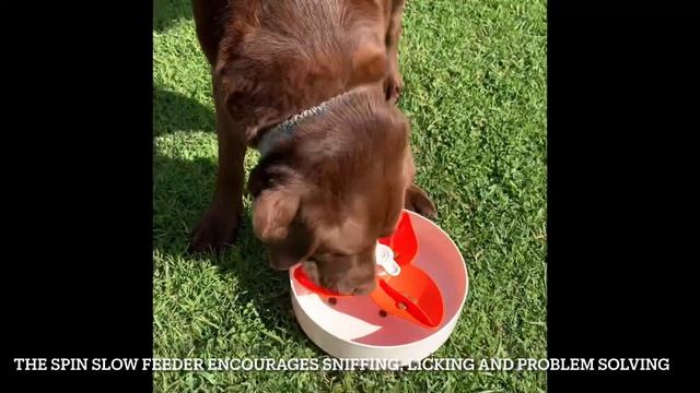Spin Slow Feeder