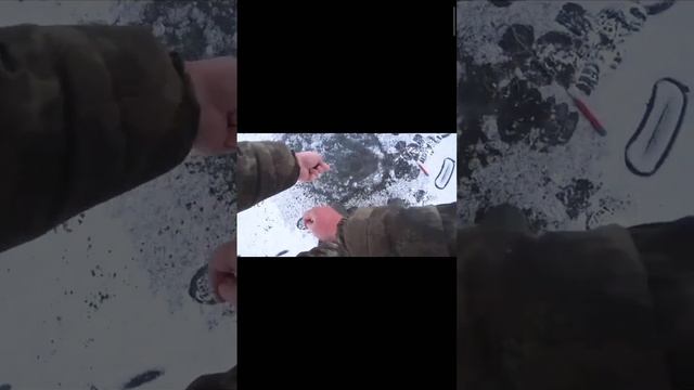 А я думал крокодила поймал смотреть онлайн