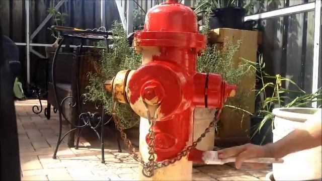 Max the Beagle - Shiny Red Fire Hydrant смотреть онлайн