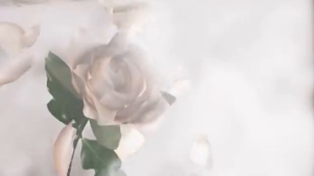 Анимированная подложка смотреть онлайн