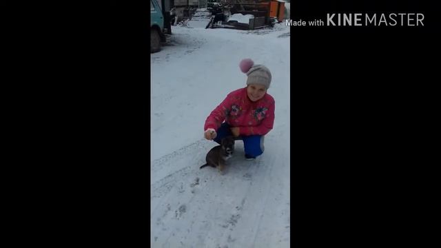 🐶Мой щенок по имени Джек  🐶