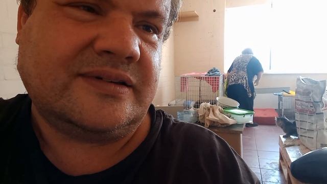 Обмёнялись комплиментами. Отчет за 13.09.2023 смотреть онлайн