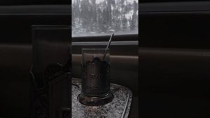 Поездка в поезде Челябинск-Нижний Новгород.