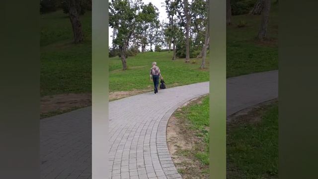 Владивосток. Бухта Аякс. Набережная ДВФУ смотреть онлайн